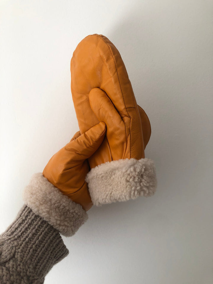 Leather Shearling Mittens,