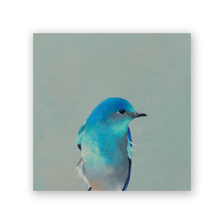 bluebird print blue
